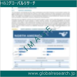 グローバルリサーチ調査レポートのイメージ